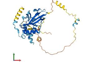 Protein Structure (PS) image for ATG3 Autophagy Related 3 (ATG3) (AA 1-314) protein (His tag) (ABIN7552484)