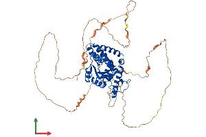 AlphaFold protein structure predicition of Mouse Recombinant Eya2 Protein, UniprotID O08575