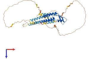 GJA3 Protein (AA 1-435) (His tag)