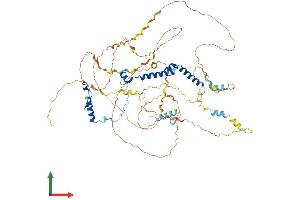 AlphaFold protein structure predicition of Human Recombinant PHACTR4 Protein, UniprotID Q8IZ21 (PHACTR4 Protein (AA 1-702) (His tag))