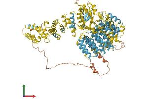 Protein Structure (PS) image for Proteasome (Prosome, Macropain) 26S Subunit, Non-ATPase, 2 (PSMD2) (AA 1-908) protein (His tag) (ABIN7555101)