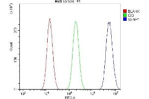 Flow Cytometry analysis of A549 cells using anti-SENP1 antibody (ABIN7600422). (SENP1 抗体  (AA 19-619))