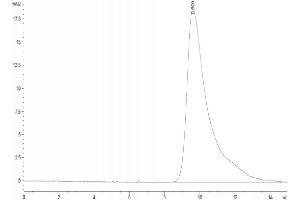 Size-exclusion chromatography-High Pressure Liquid Chromatography (SEC-HPLC) image for delta Like Protein 3 (DLL3) (AA 27-215) protein (His-DYKDDDDK Tag) (ABIN7274484)