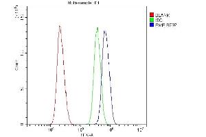 anti-Crossover junction endonuclease EME1 (EME1) (AA 520-561), (C-Term) antibody