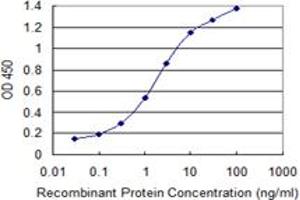 Detection limit for recombinant GST tagged SMS is 0. (SMS 抗体  (AA 1-366))