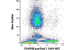 Flow cytometry surface staining pattern of human peripheral blood stained using anti-human CD45RB (MEM-55) purified antibody (concentration in sample 1 μg/mL, GAM APC).