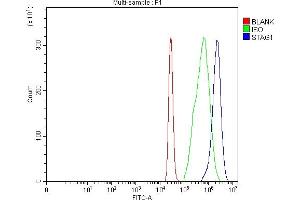 Flow Cytometry analysis of U937 cells using anti-SA1/STAG1 antibody (ABIN7602412).