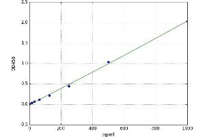 A typical standard curve