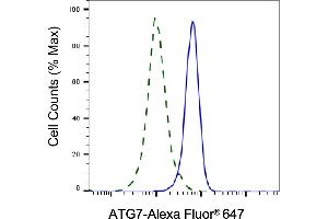 Validation of ATG7 knockdown using flow cytometry. (Recombinant ATG7 抗体)