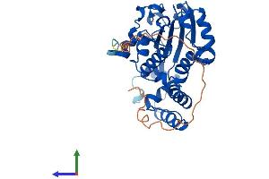 Protein Structure (PS) image for Clavesin 2 (CLVS2) (AA 1-327) protein (His tag) (ABIN7558535)
