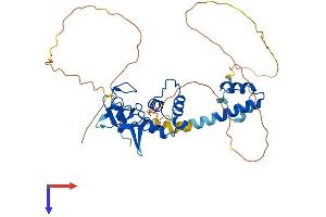 RNF34 Protein (AA 1-376) (His tag)
