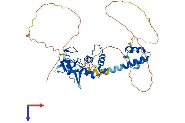 RNF34 Protein (AA 1-376) (His tag)