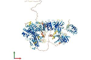 Protein Structure (PS) image for NLR Family, Pyrin Domain Containing 1B (NLRP1B) (AA 1-1233) protein (His tag) (ABIN7563652)