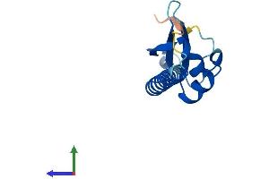 Protein Structure (PS) image for Developmental Pluripotency Associated 5 (DPPA5) (AA 1-116) protein (His tag) (ABIN7547127)