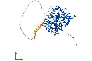 Protein Structure (PS) image for N-Myristoyltransferase 1 (NMT1) (AA 1-496) protein (His tag) (ABIN7562534)