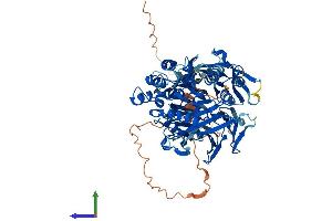 Protein Structure (PS) image for Prolyl Endopeptidase Like Protein (PREPL) (AA 1-725) protein (His tag) (ABIN7559100)