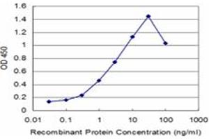 ELISA image for anti-Roundabout, Axon Guidance Receptor, Homolog 1 (ROBO1) (AA 491-589) antibody (ABIN519829)