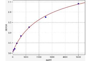 PTPN14 ELISA 试剂盒