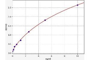 Typical standard curve (Neuregulin 1 ELISA 试剂盒)