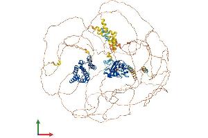 AlphaFold protein structure predicition of Mouse Recombinant Scaf8 Protein, UniprotID Q6DID3