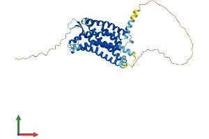 Protein Structure (PS) image for Apelin Receptor (APLNR) (AA 1-380) protein (His tag) (ABIN7552131)