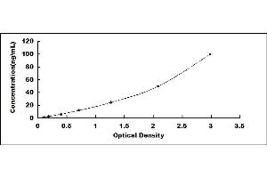 Typical standard curve (Maltase-Glucoamylase (MGAM) ELISA 试剂盒)