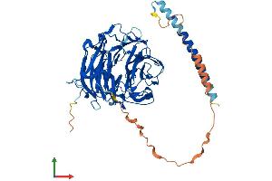 Protein Structure (PS) image for Coronin, Actin Binding Protein, 2A (CORO2A) (AA 1-524) protein (His tag) (ABIN7559083)