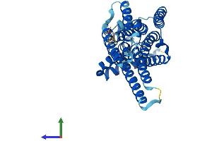 AlphaFold protein structure predicition of Human Recombinant G6PC1 Protein, UniprotID P35575