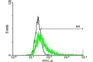 FACS analysis of negative control 293 cells (Black) and HLA-DQB1 expressing 293 cells (Green) using HLA-DQB1 purified MaxPab mouse polyclonal antibody. (HLA-DQB1 抗体  (AA 1-261))