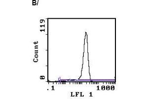 Image no. 1 for anti-CD3 (CD3) antibody (FITC) (ABIN114136) (CD3 抗体  (FITC))