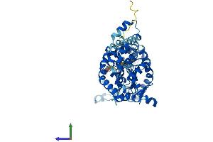 AlphaFold protein structure predicition of Human Recombinant AK8 Protein, UniprotID Q96MA6