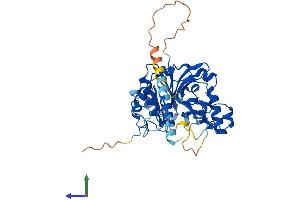 Protein Structure (PS) image for Glycosyltransferase 8 Domain Containing 1 (GLT8D1) (AA 1-371) protein (His tag) (ABIN7547949)