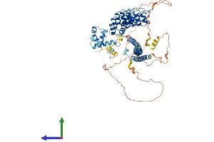 Protein Structure (PS) image for Ankyrin Repeat and SAM Domain-Containing Protein 3 (ANKS3) (AA 1-655) protein (His tag) (ABIN7560793)