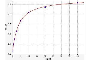 Typical standard curve (MYL3/CMLC1 ELISA 试剂盒)