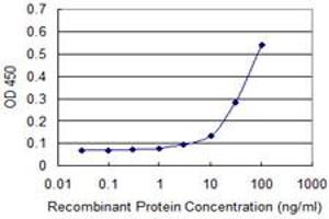 Detection limit for recombinant GST tagged HBZ is approximately 10ng/ml as a capture antibody. (HBZ 抗体  (AA 1-81))