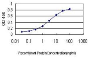 Detection limit for recombinant GST tagged HTRA2 is approximately 0. (HTRA2 抗体  (AA 359-458))