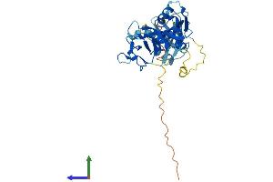 AlphaFold protein structure predicition of Mouse Recombinant Parp11 Protein, UniprotID Q8CFF0