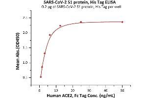 ELISA image for SARS-CoV-2 Spike S1 (B.1.351 - beta) (Active) protein (His tag) (ABIN7013278)
