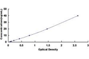 Typical standard curve (FCGR1A ELISA 试剂盒)