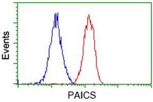 Flow cytometric Analysis of Jurkat cells, using anti-PAICS antibody (ABIN2453416), (Red), compared to a nonspecific negative control antibody (ABIN2453416), (Blue). (PAICS 抗体)
