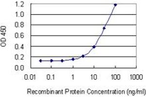 Detection limit for recombinant GST tagged BNIPL is 0. (BNIPL 抗体  (AA 1-275))
