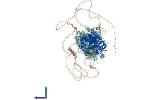Protein Structure (PS) image for Solute Carrier Family 12 (Potassium-Chloride Transporter) Member 2 (SLC12A2) (AA 1-1205) protein (His tag) (ABIN7563452)