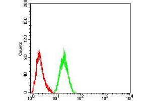 Flow cytometric analysis of Hela cells using ARF1 mouse mAb (green) and negative control (red). (ARF1 抗体  (AA 76-182))