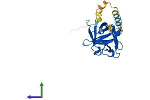 AlphaFold protein structure predicition of Mouse Recombinant Fgf16 Protein, UniprotID Q9ESL8