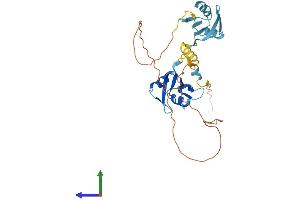 Protein Structure (PS) image for Heterogeneous Nuclear Ribonucleoprotein D-Like (HNRPDL) (AA 1-301) protein (His tag) (ABIN7556372)