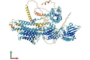 Protein Structure (PS) image for ATPase, Ca++ Transporting, Plasma Membrane 2 (ATP2B2) (AA 1-1198) protein (His tag) (ABIN7565176)