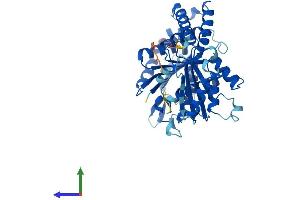 Protein Structure (PS) image for Tubulin, beta 1 (TUBB1) (AA 1-451) protein (His tag) (ABIN7544354)
