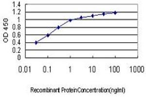 Detection limit for recombinant GST tagged PDE1B is approximately 0. (PDE1B 抗体  (AA 437-536))