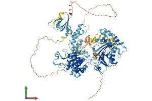 Protein Structure (PS) image for DNA repair and recombination protein RAD54B (RAD54B) (AA 1-886) protein (His tag) (ABIN7564124)