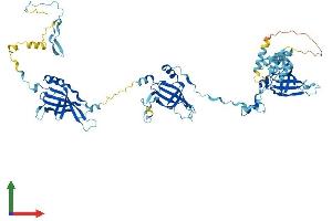 Protein Structure (PS) image for EF-Hand Domain (C-terminal) Containing 1 (EFHC1) (AA 1-648) protein (His tag) (ABIN7561188)